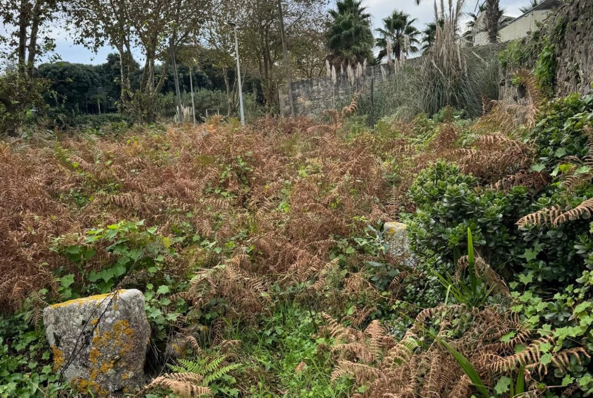 Moradia para reconstrução em Azurara