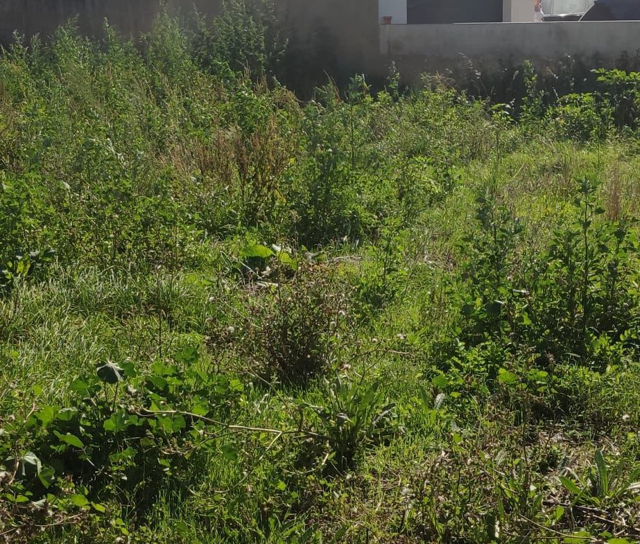 Terreno em Vila Chã com projeto em curso