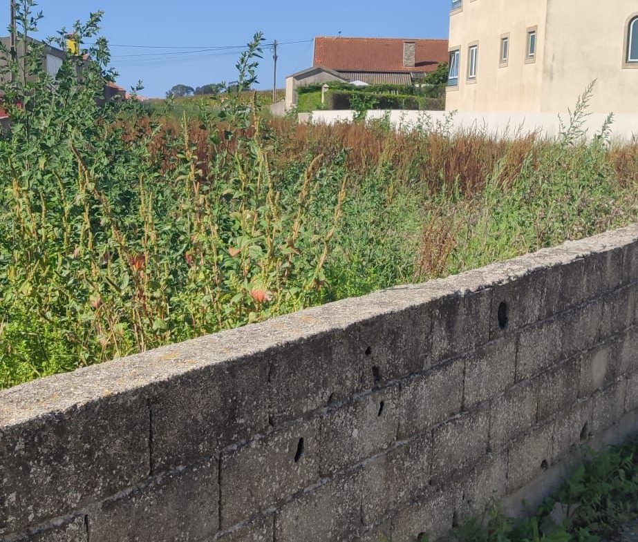 Terreno em Vila Chã com projeto em curso