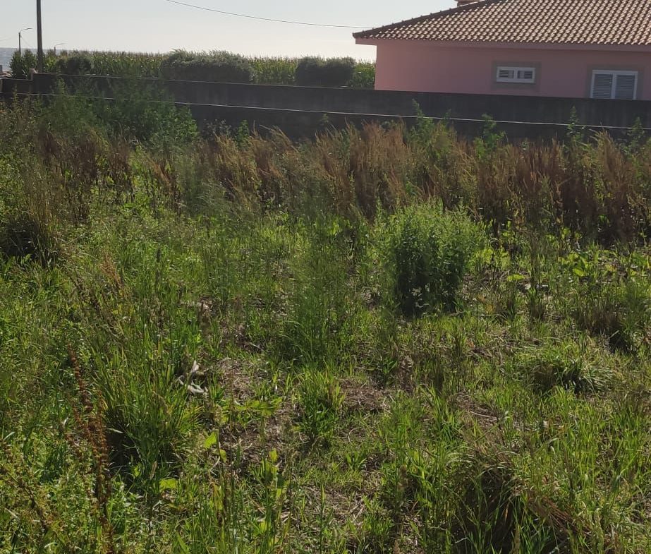 Terreno em Vila Chã com projeto em curso